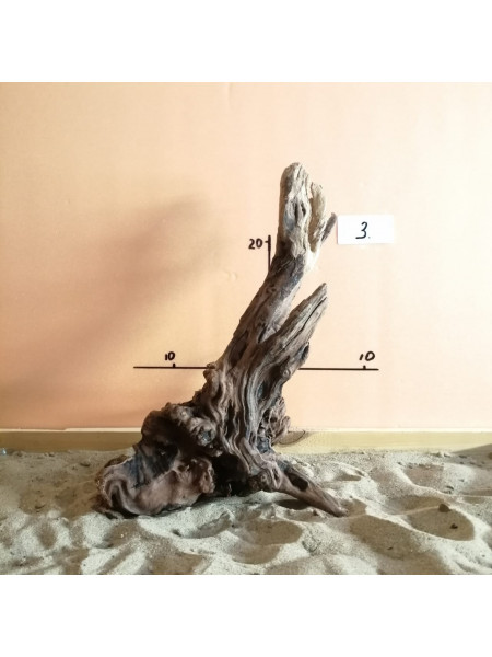 Коряга затонувшая 3
