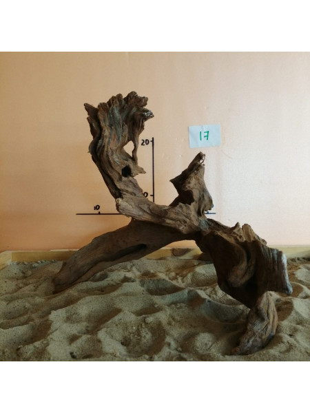 Коряга затонувшая 17