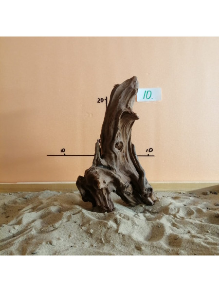 Коряга затонувшая 10