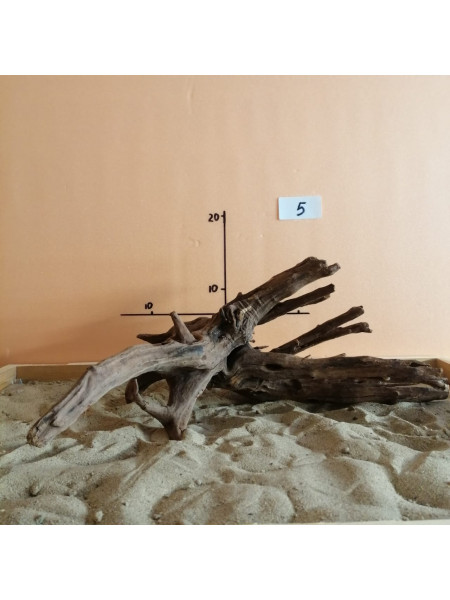 Коряга затонувшая 5