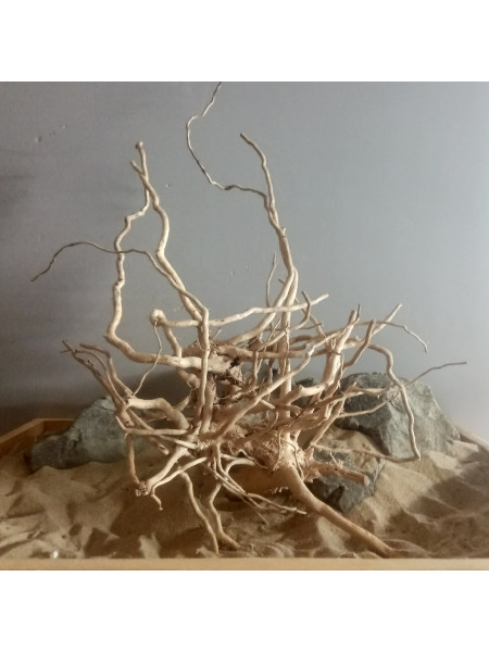 Коряга сакура-38