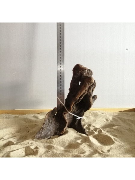Коряга Red wood 8