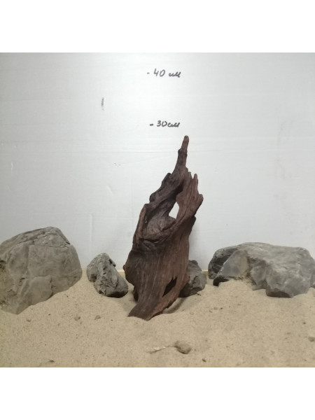 Коряга Red wood 1