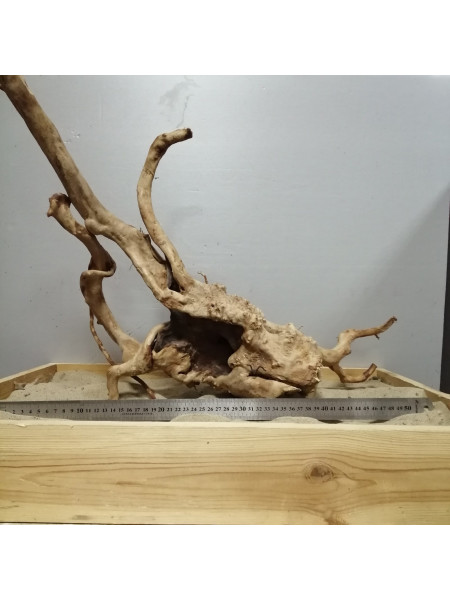 Коряга сакура-101