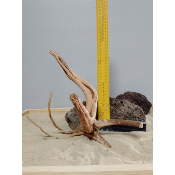 Коряга "Паучий корень" 63