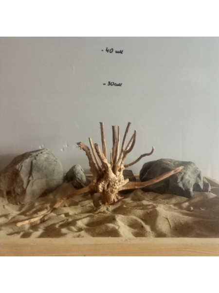 Коряга "Паучий корень" 5
