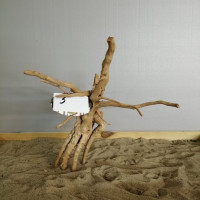 Коряга "Паучий корень" 3
