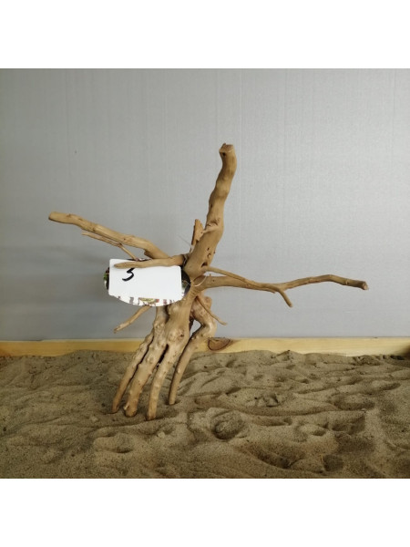 Коряга "Паучий корень" 3