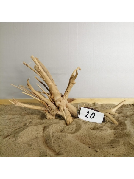 Коряга "Паучий корень" 20