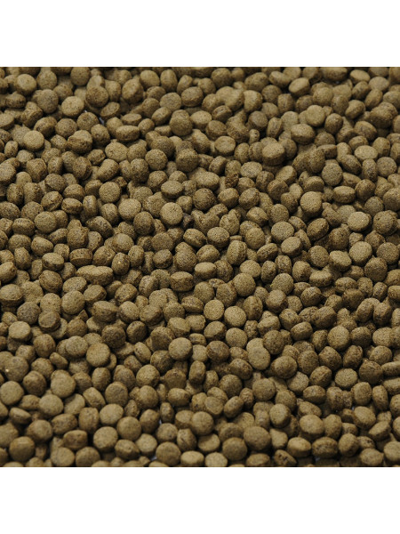 Anubias Spirulina Opti Pellets - корм для рыб, гранулы 2мм, ведро 5л (2кг)