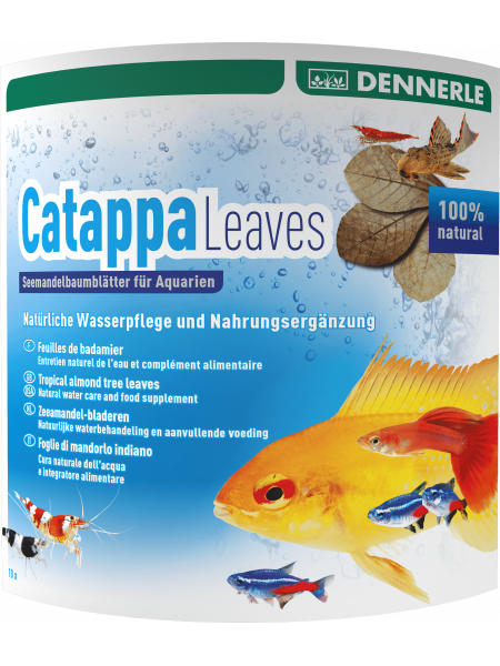 Dennerle Catappa Leaves, листья индийского миндаля для водоподготовки, 10 шт