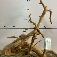 Коряга сакура-44