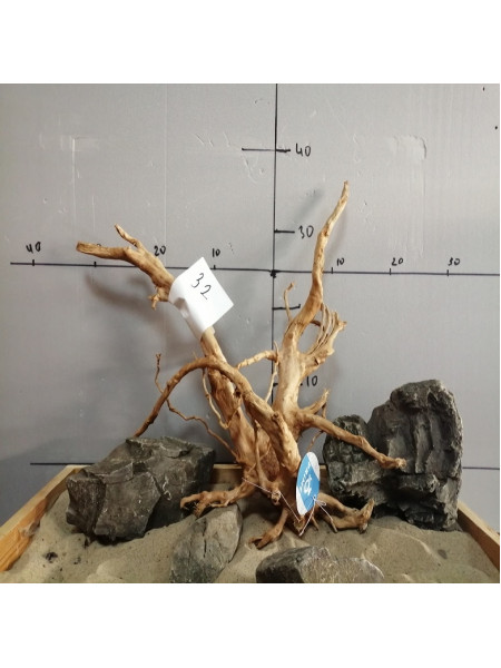 Коряга сакура-32